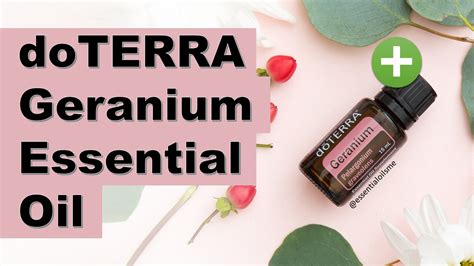 Doterra Geranium Essential Oil Benefits And Uses