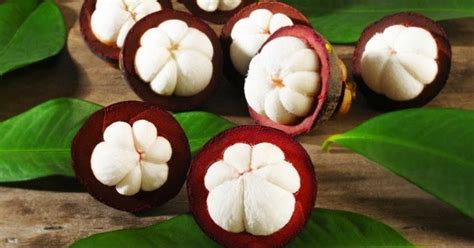 Penelitian ini bertujuan untuk menentukan daya hambat rebusan kulit buah manggis ( garcinia. Ketahui 9 Manfaat Manggis Bagi Kesehatan Serta Obat ...