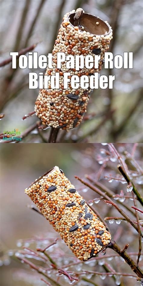 Two Pictures Of Bird Feeders Hanging From Branches With The Words