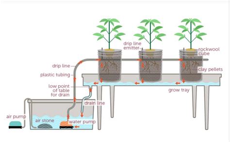 Greentree Hydroponics Multi Flow 6 Site Ebb And Flow Hydroponic System
