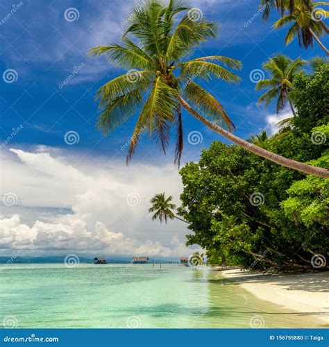 Beautiful Paradise Island Landscape Of Tropical Beach Calm Ocean