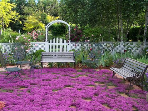 Dec 18, 2017 · question: Browns' Backyard: CREEPING THYME: A NOBLE EXPERIMENT