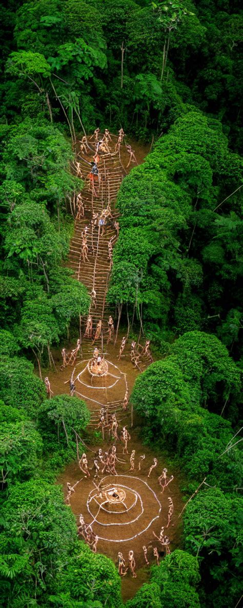 Krea High Quality Photo Of An Uncontacted Amazonian Tribe Performing