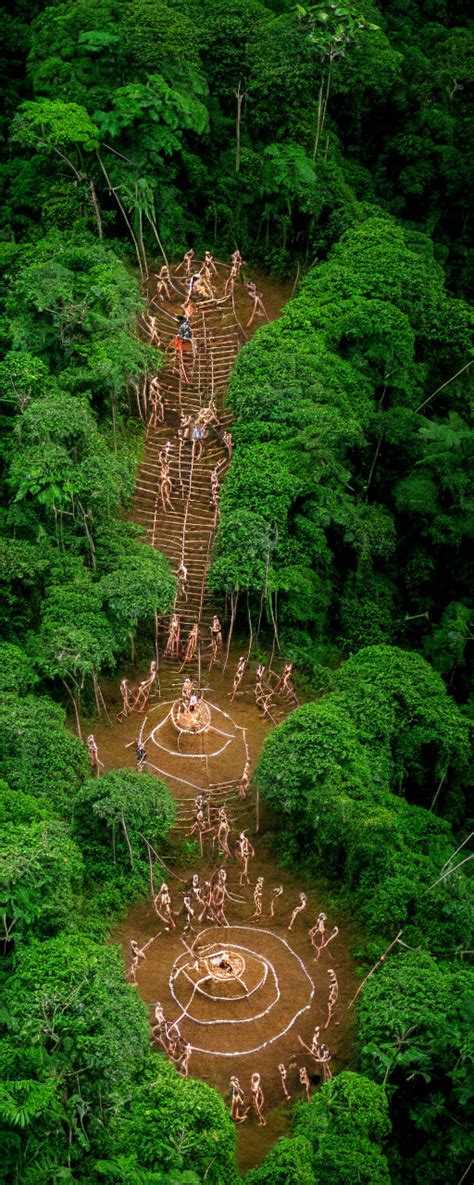 KREA High Quality Photo Of An Uncontacted Amazonian Tribe Performing