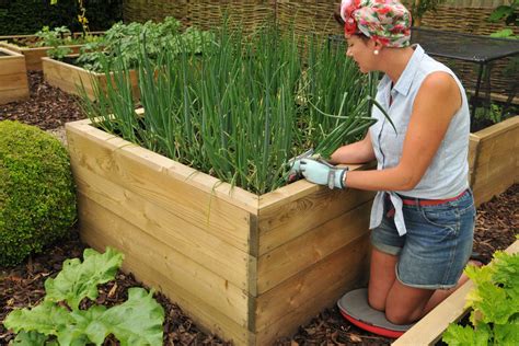 Allotment Wooden Raised Beds - Harrod Horticultural