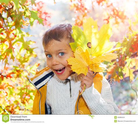 Cute Boy With Autumn Leaves Stock Photo Image Of Happy Clothes 45886424