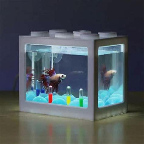 Model aquarium minimalis unik terbaru. Aneka Model Aquarium : Ikan Hias Untuk Aquarium Mini - Aneka Ikan Hias : Dengan aquarium mampu ...