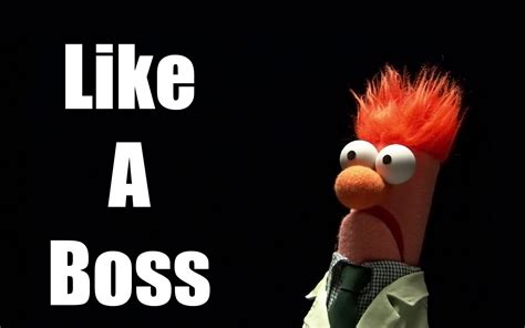 Beaker Muppets Quotes Quotesgram