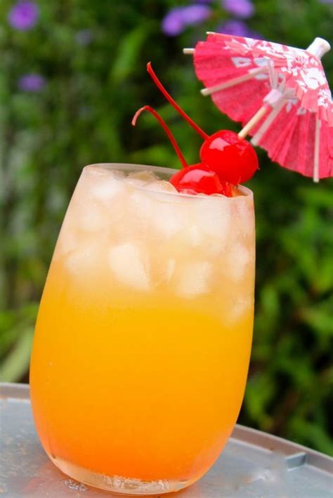 Malibu blends barbados rum with the flavours of coconut. Mangolicious | Fruity drinks, Coconut rum, Fun drinks