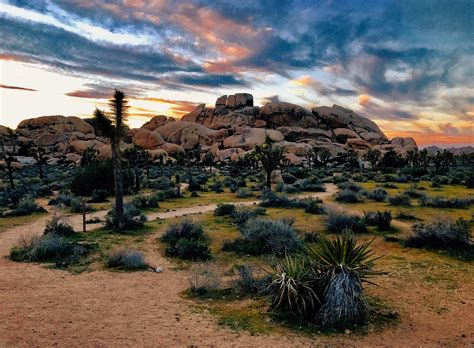 Awesome Things To Do At Joshua Tree National Park