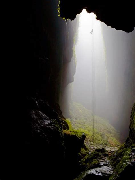 Waitomo Caves Bing Wallpaper Download
