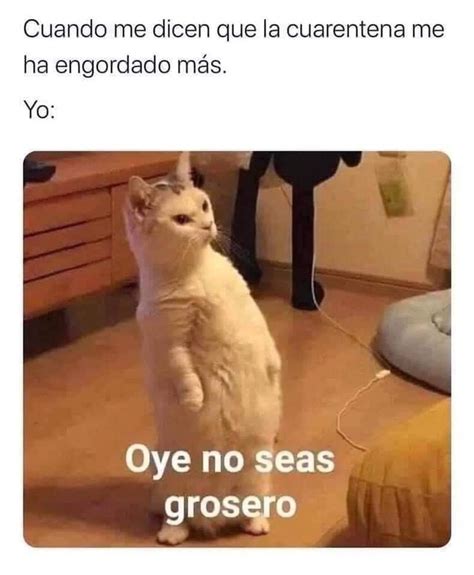 Pin en Memes en español