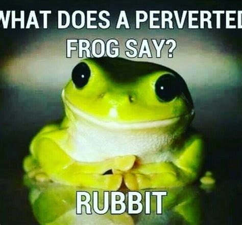 Pin By Angela Craig On Funny Smiling Animals Frog Memes Funny Frogs