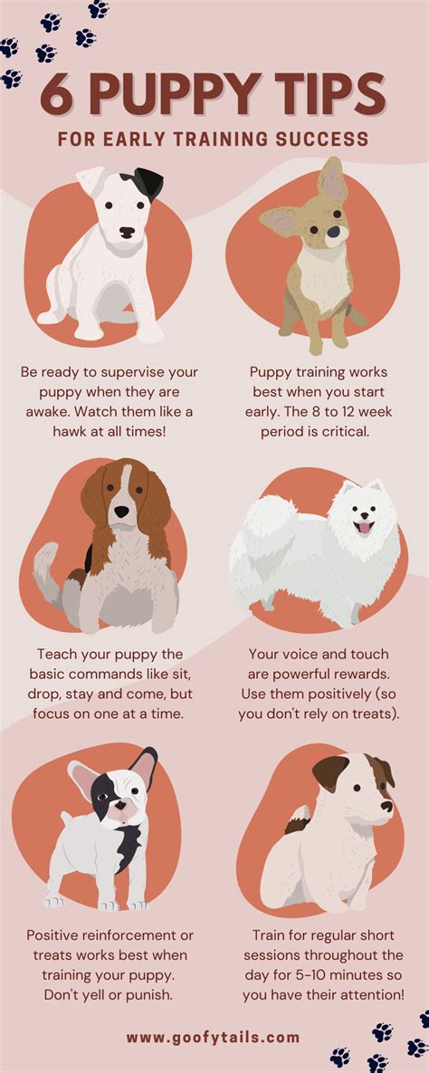 6 Puppy Tips For Early Training Success Infographic Goofytails