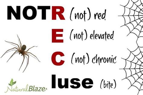 Remember This Mnemonic To Diagnose A Brown Recluse Spider Bite