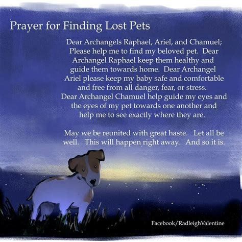 Prayer For Someone Who Has Lost A Pet Pets Animals Us