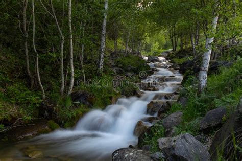 River Water Flows Among The Stones Of A Green Forest Stock Photo