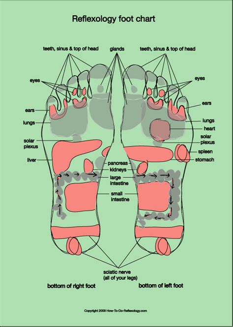 Reflexology Foot Map Diagrams And Charts Including Step By Step