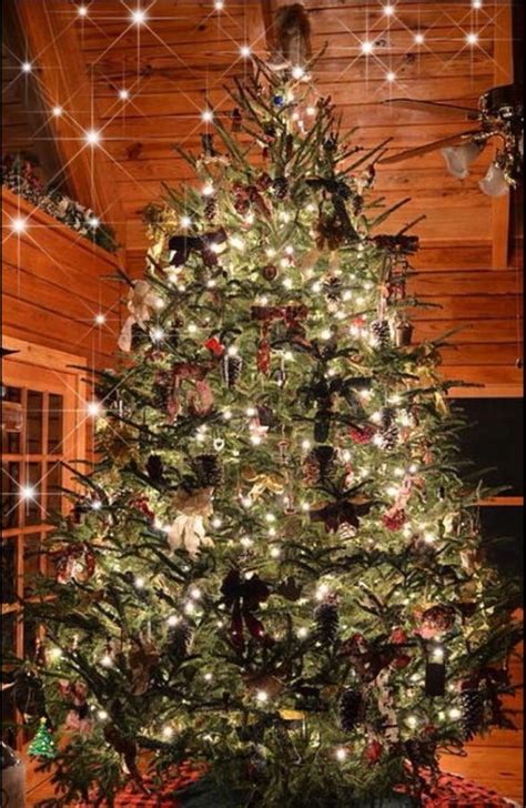 Pin By Jen Hartnett On Christmas Treesinside Beautiful Christmas