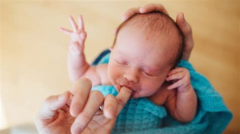 Rooting Reflex In Newborns How It Develops Triggers