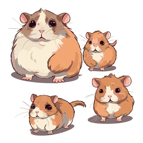 Hamsters Clipart Hámsteres De Dibujos Animados Sobre Fondo Blanco Vector Png Dibujos Hamsters