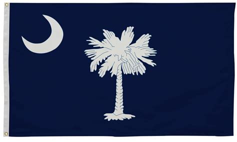South Carolina State Flag 5 X 8 South Carolina Flag State Of