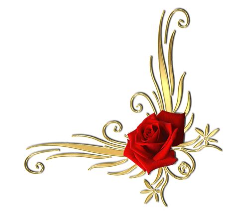 Sex Beautiful Rose Roses Sticker By Magomedova984