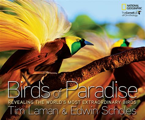 Tim Lamans Birds Of Paradise Book