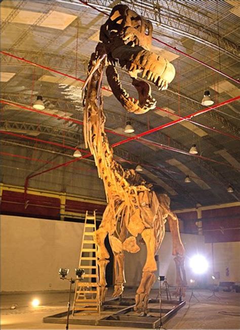 Scientists Unearth Worlds Biggest Dinosaur The Korea Times