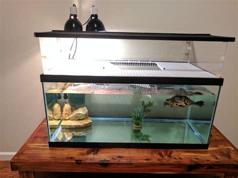 Diy Aquatic Turtle Tank Diy Projects