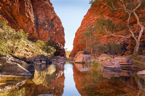 Fly And Drive The Best Way To Visit The Northern Territory Cruise Passenger