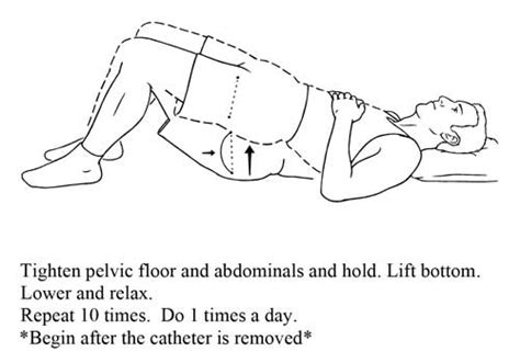 Floor Muscle Exercises For Pre Es Bios Pics