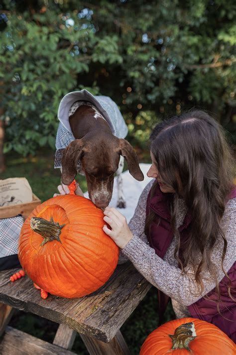 Annual Pumpkin Patch Photos 2020 Queen Bee By Hailey Scott