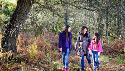 New Forest Whitefield Moor Longer Loop Walk Visit Hampshire