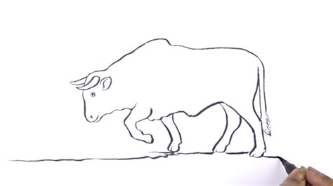 Bull Line Drawing How To Draw A Bull Easy Youtube