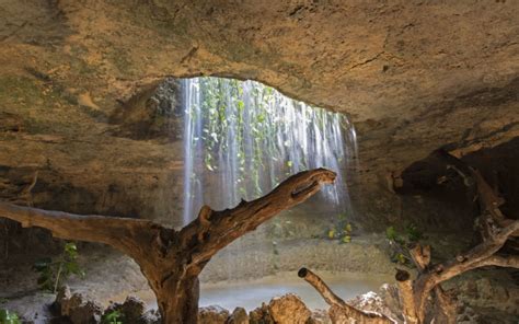 Cave Jungle Forest Branches Vines Water Waterfall Landscapes