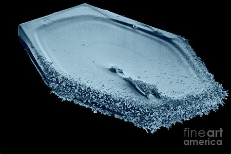 Snow Crystal Photograph By Electron And Confocal Microscopy Laboratory