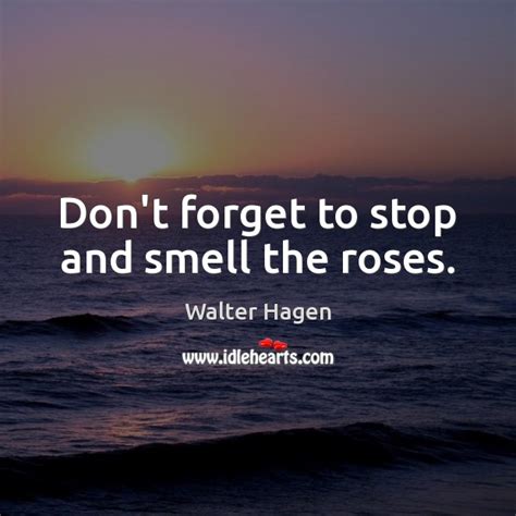 Stop And Smell The Roses Quote Author Kasi Pleasant