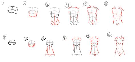 Male Anatomy Drawing Step By Step Tutorial Male Body Manga 02 By