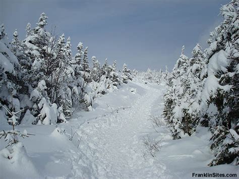 Cannon Mountain New Hampshire New Englands Alpine Ccc Ski Trails