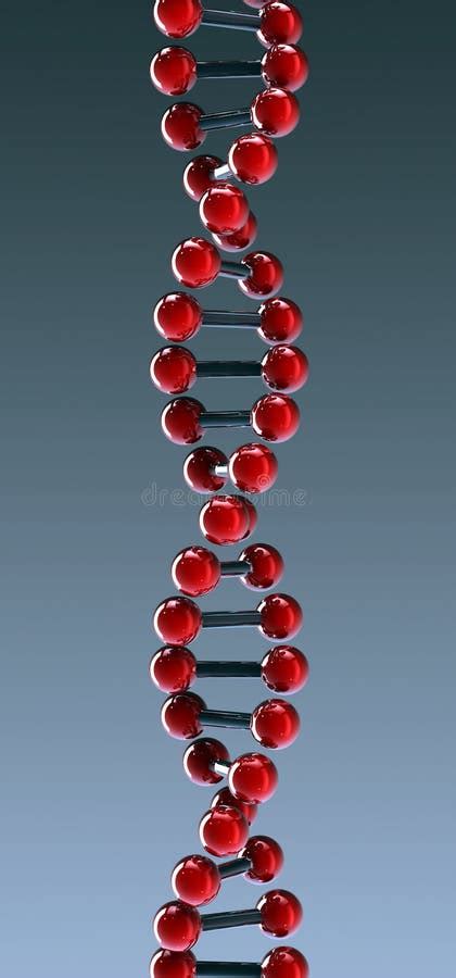 Dna Double Helix Stock Illustration Illustration Of Isolated 12883785