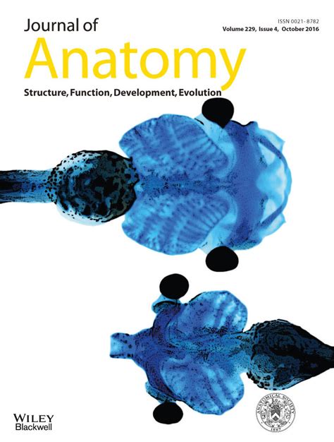 Thieme Atlas Of Anatomy Volume 3 Head Neck And Neuroanatomy 2nd Edn