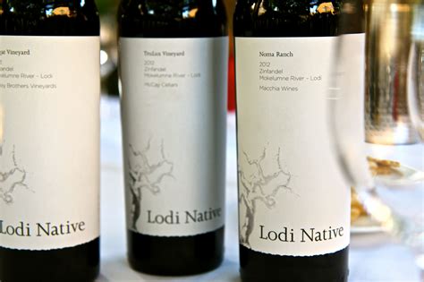 Lodi Wine Commission - Blog - Discovering your own taste in wine beyond