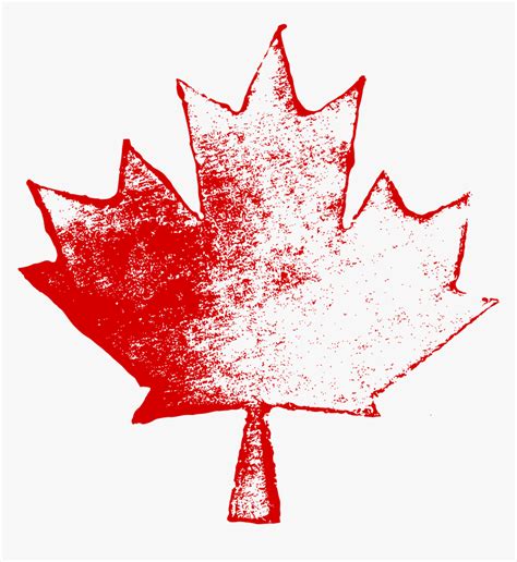 Canada Maple Leaf Png Transparent Png Kindpng