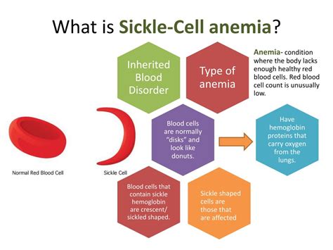 Sickle Cell Anemia Theory Of Knowledge