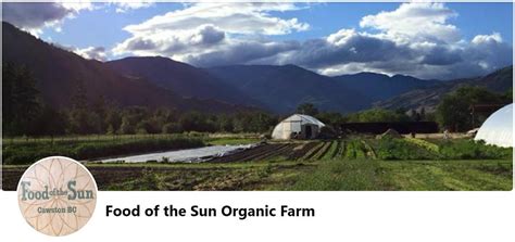 Organic Farming Vegetable Farming Jobs And Internships