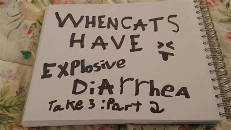 When Cats Have Explosive Diarrhea Take 3 Part 2 Youtube