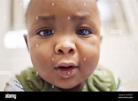 300+ cuteness overloaded images and videos that will melt your heart