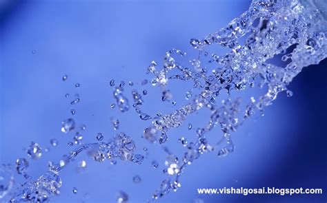 Vishal Gosai Beautiful Water Drops Image