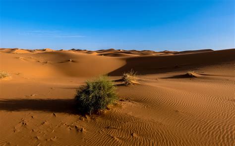 Download Wallpaper 3840x2400 Sahara Desert Sand Sky 4k Ultra Hd 16